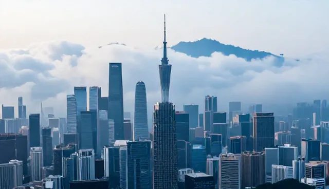 选择技术咨询时，应该关注哪些要点？